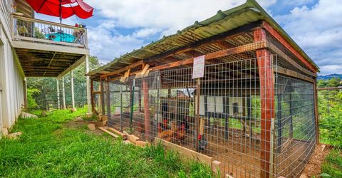 8300 Highway 49, Mokelumne Hill, CA 95245 Photo