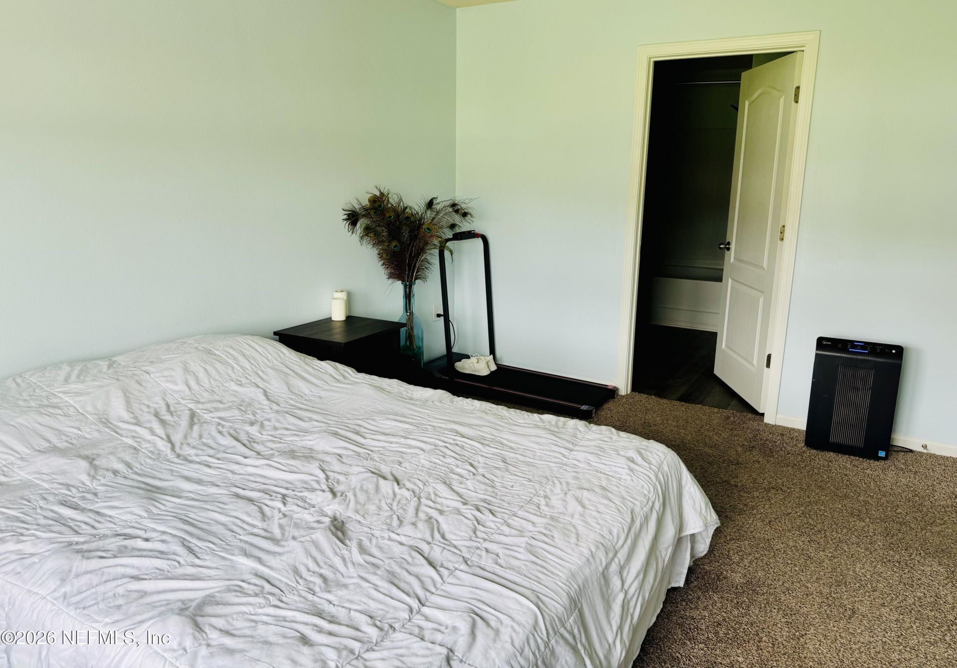 2257 Willow Springs Drive, Green Cove Springs, FL 32043 Photo