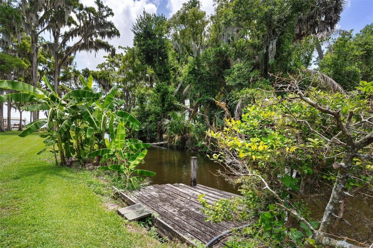 29205 S Corley Island Road , Leesburg, FL 34748 Photo