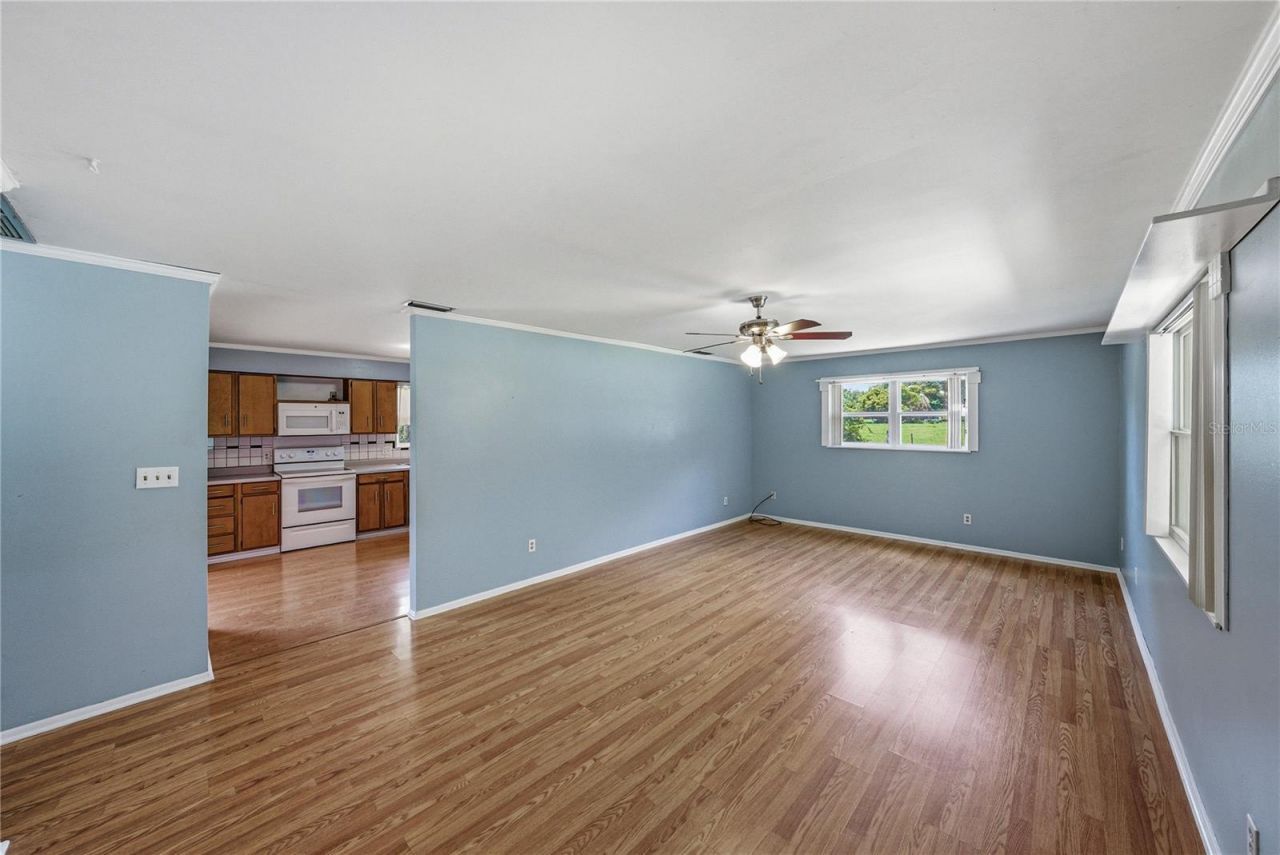 34240 Appaloosa Trail , Wesley Chapel, FL 33543 Photo