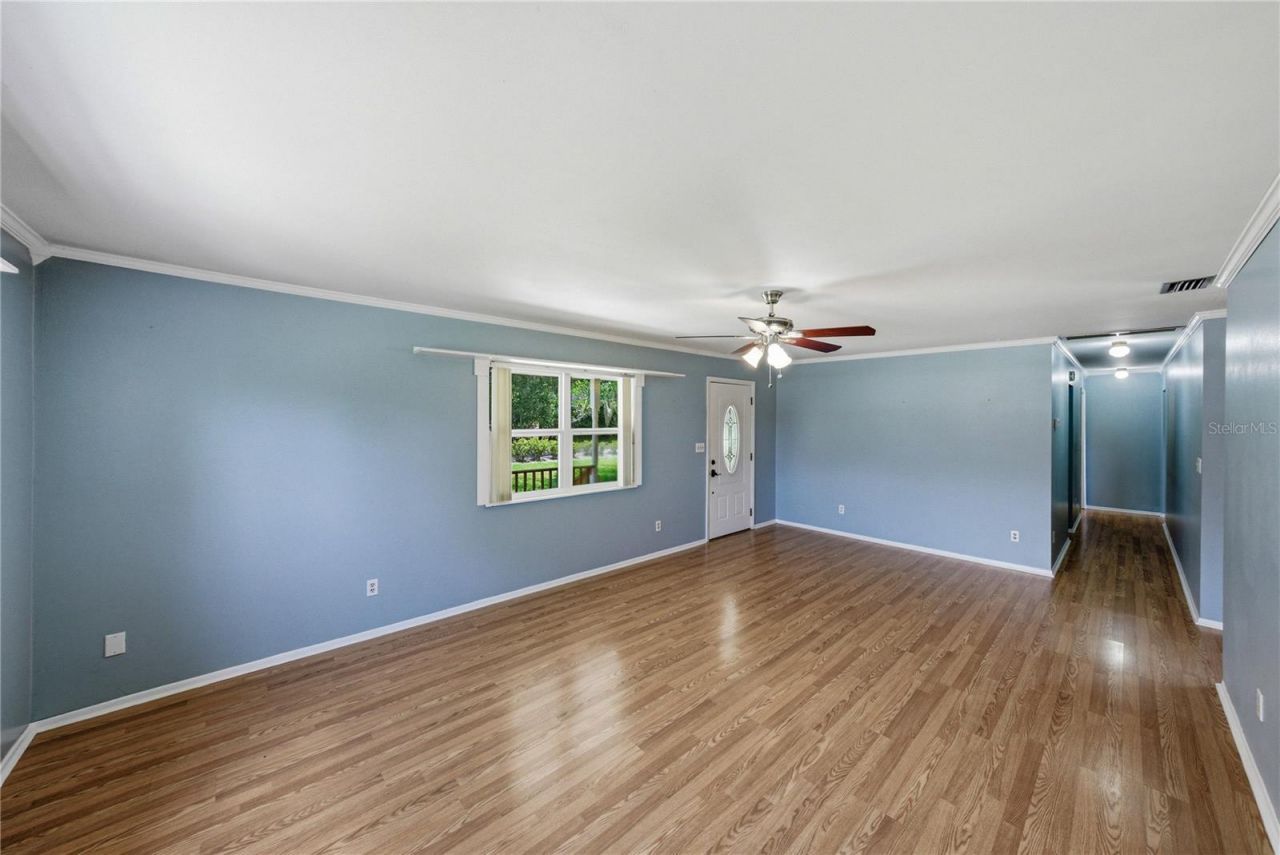 34240 Appaloosa Trail , Wesley Chapel, FL 33543 Photo