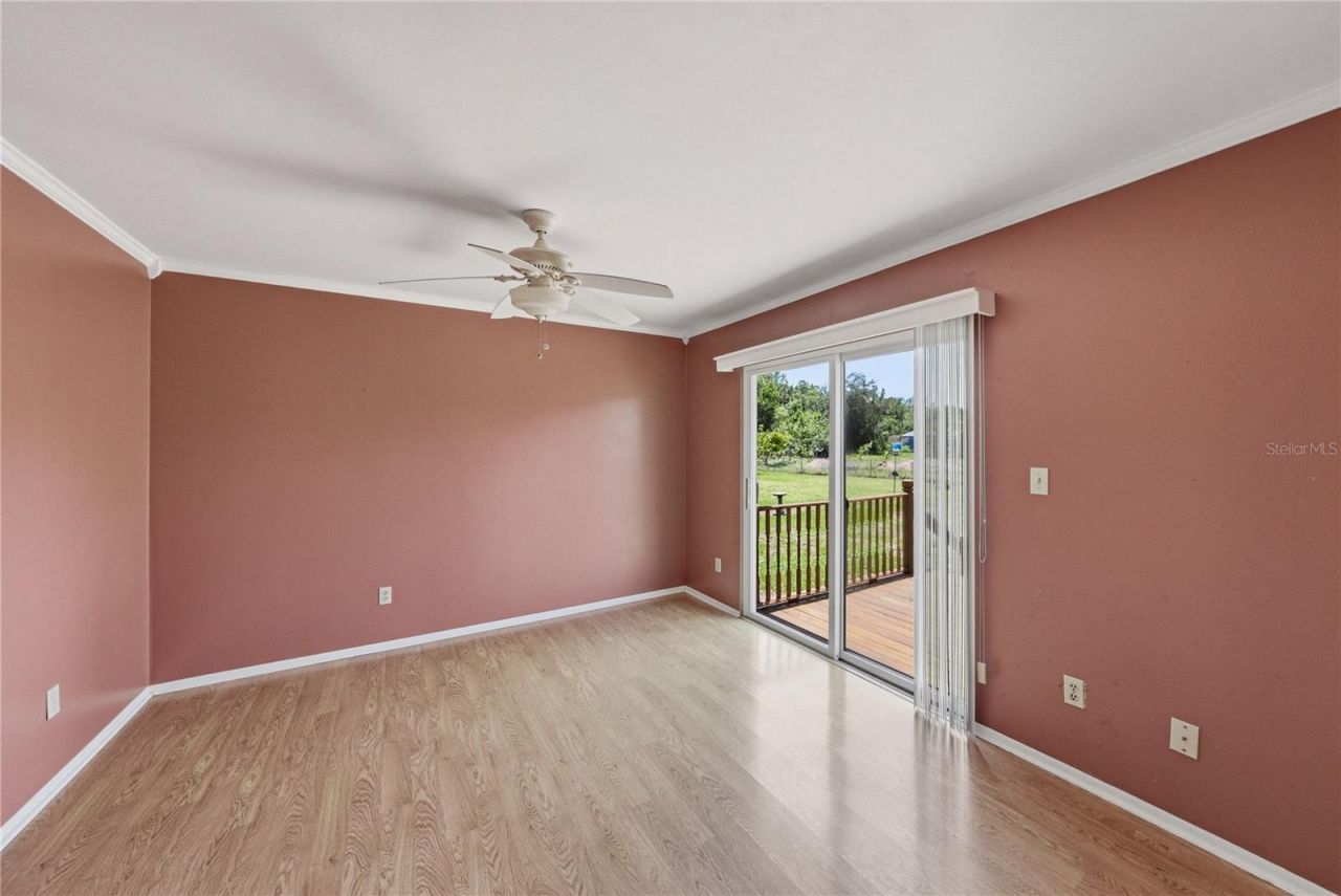 34240 Appaloosa Trail , Wesley Chapel, FL 33543 Photo