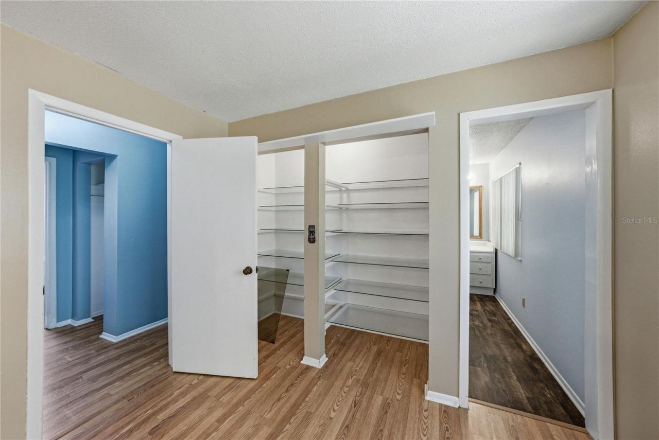 34240 Appaloosa Trail , Wesley Chapel, FL 33543 Photo