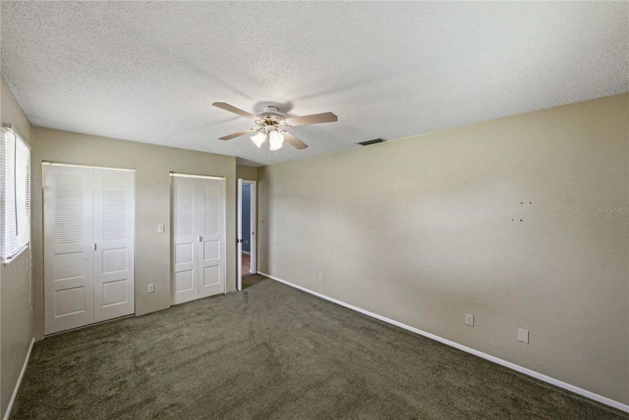34240 Appaloosa Trail , Wesley Chapel, FL 33543 Photo