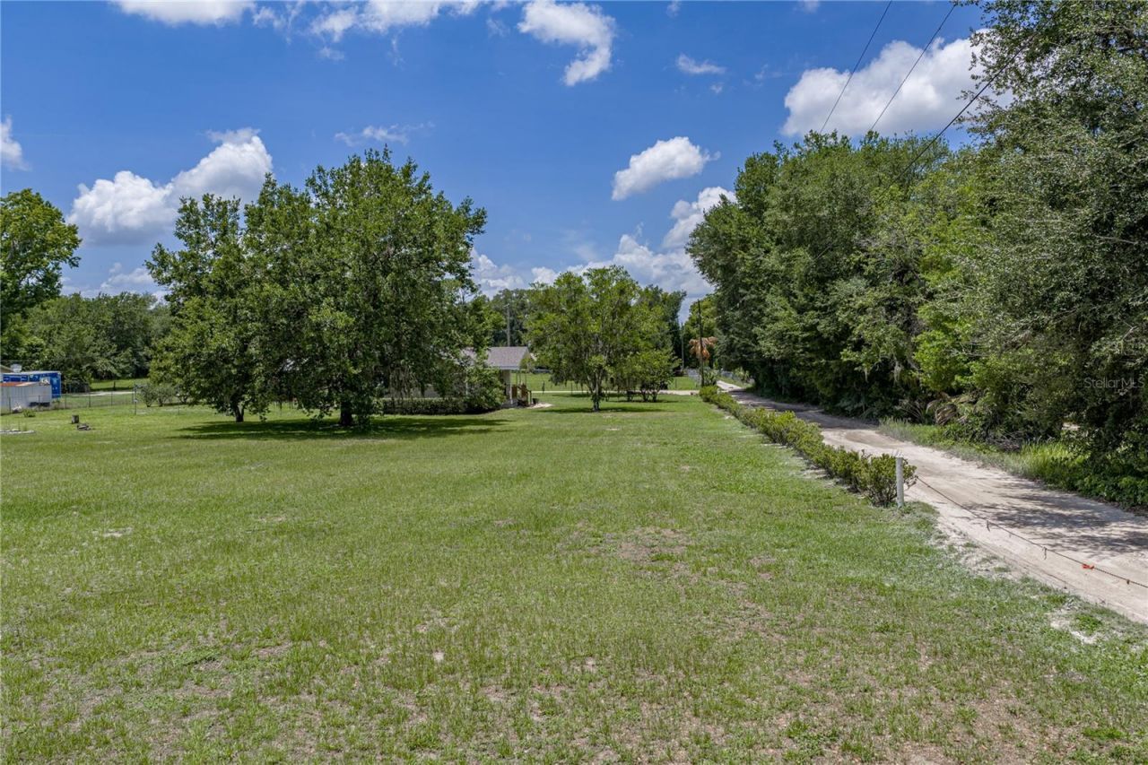 34240 Appaloosa Trail , Wesley Chapel, FL 33543 Photo