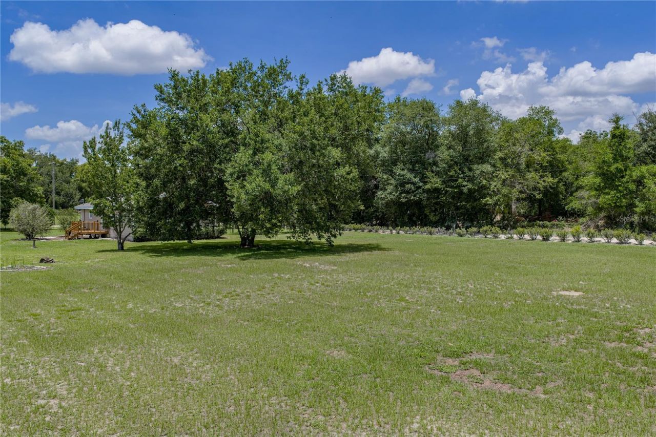 34240 Appaloosa Trail , Wesley Chapel, FL 33543 Photo