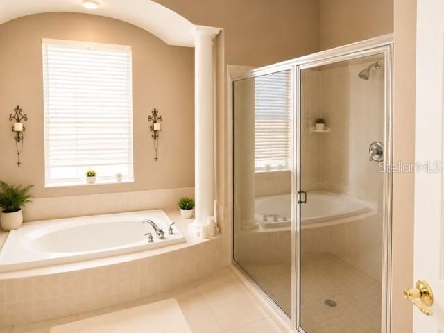 2021 Blue Beech Court, Trinity, FL 34655 Photo