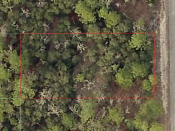 TBD SW SEAWEED AVENUE , DUNNELLON, FL 34431