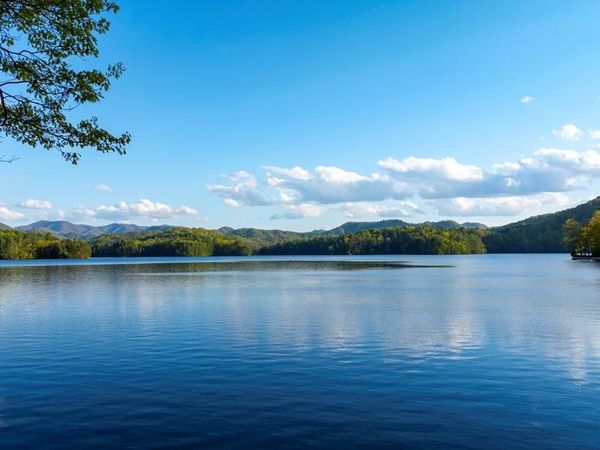 10 Santeetlah Lakeside , Robbinsville, NC 28771