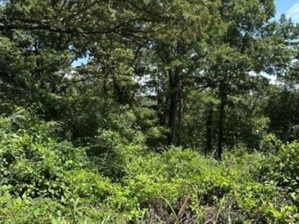 Plat 9 Lot 22 , Van Buren, MO 63965