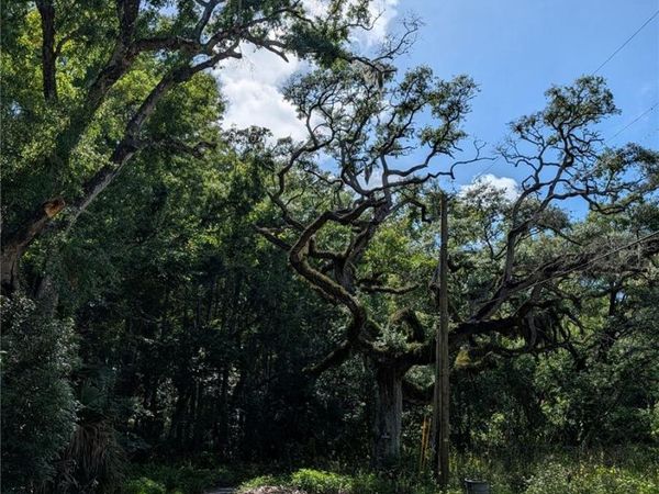 TBD KIOWA , NEW PORT RICHEY, FL 34654