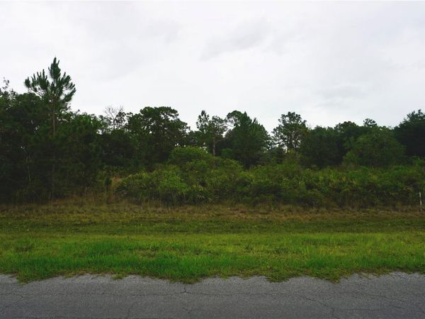 REYNOLDS PARKWAY , ORLANDO, FL 32833