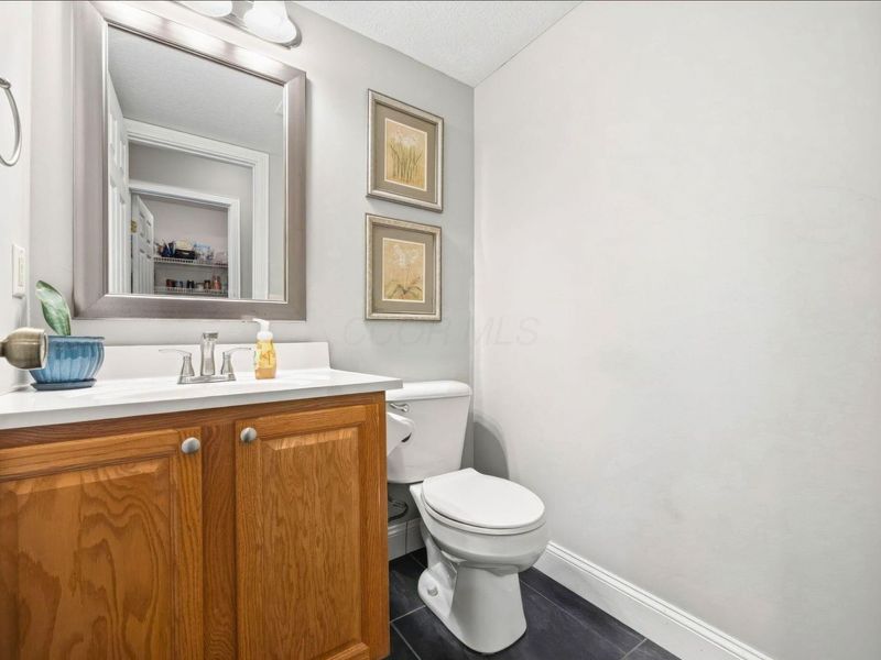 172 Leasure Drive, Pickerington, OH 43147 Photo 48