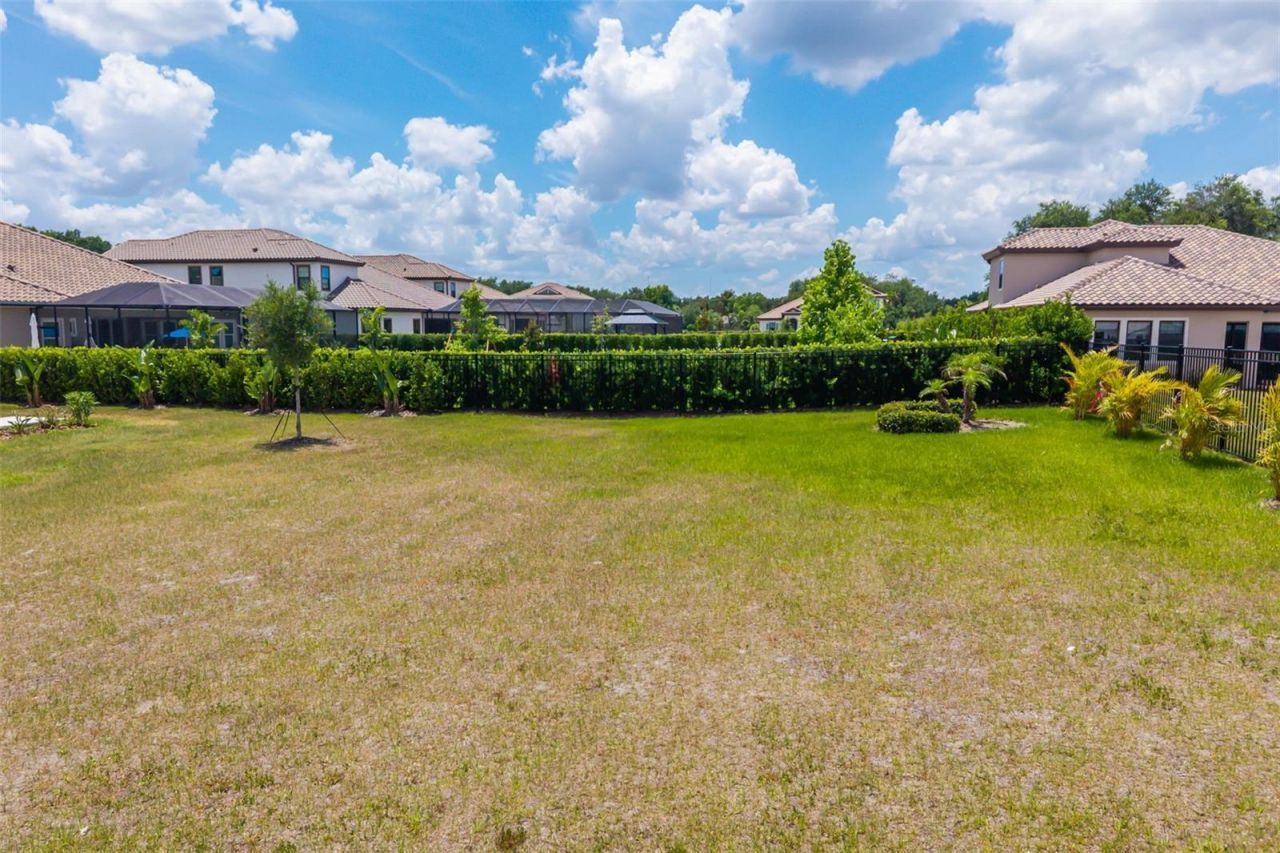1843 Cattle Baron Court, Lithia, FL 33547 Photo