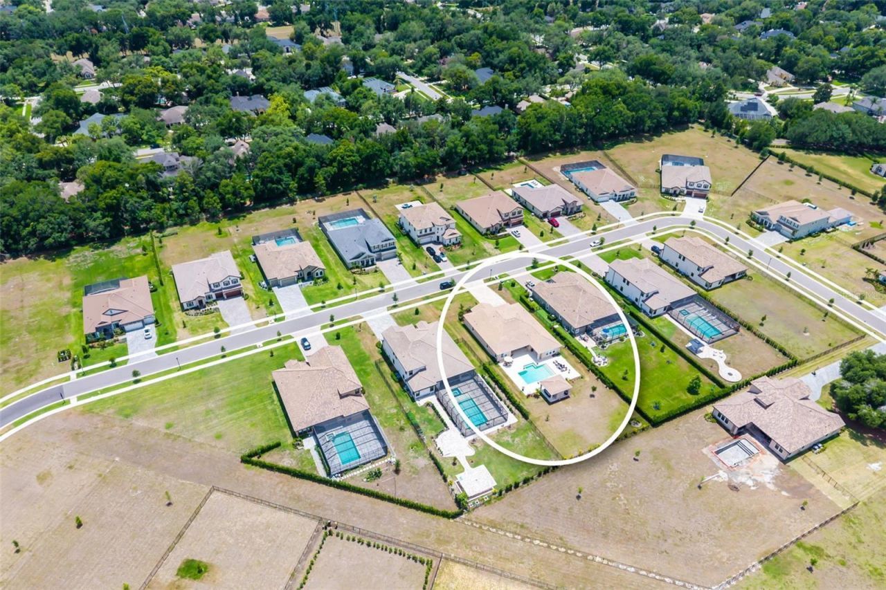 1843 Cattle Baron Court, Lithia, FL 33547 Photo