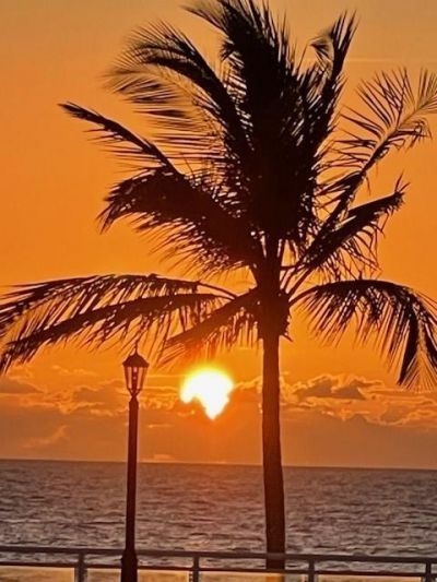 3900 Galt Ocean Drive, Unit 511, Fort Lauderdale, FL 33308 Photo