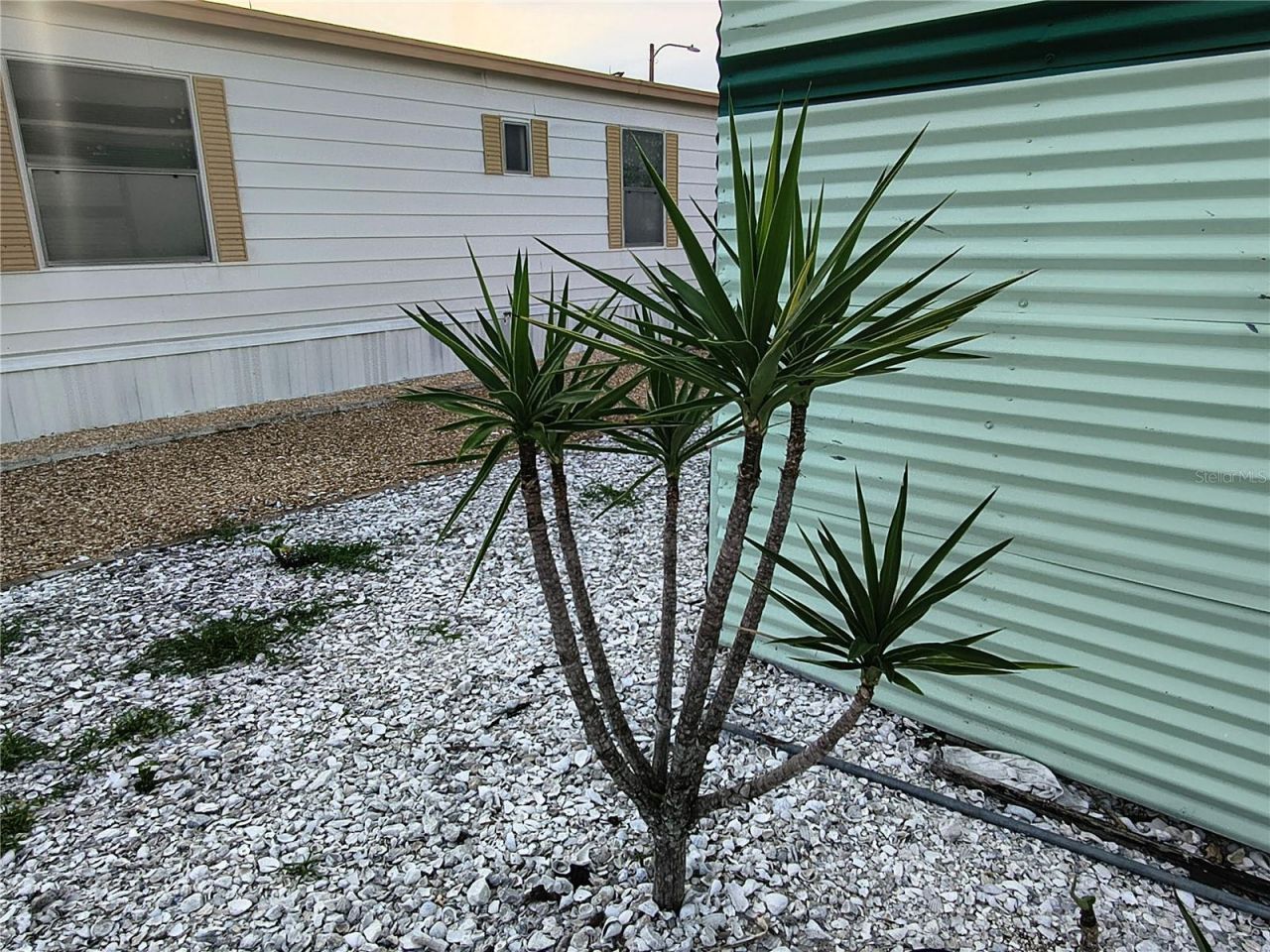 7306 Grand Pine Drive , Hudson, FL 34667 Photo