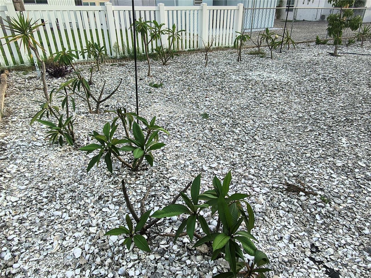 7306 Grand Pine Drive , Hudson, FL 34667 Photo