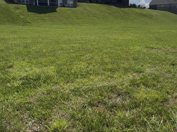 562 Charleston , Loudon, TN 37774