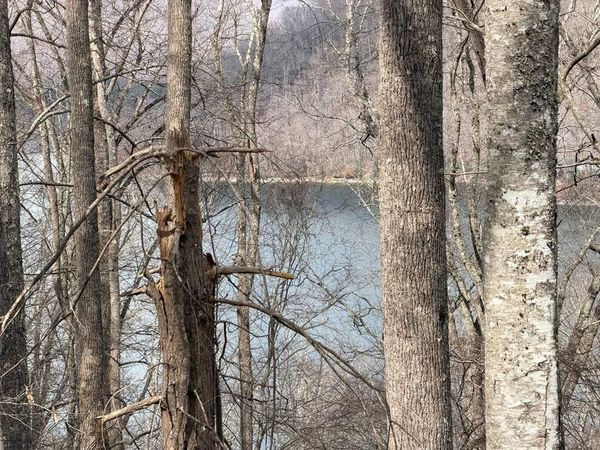 Lot 12 Lake Vista Circle, Nantahala, NC 28781