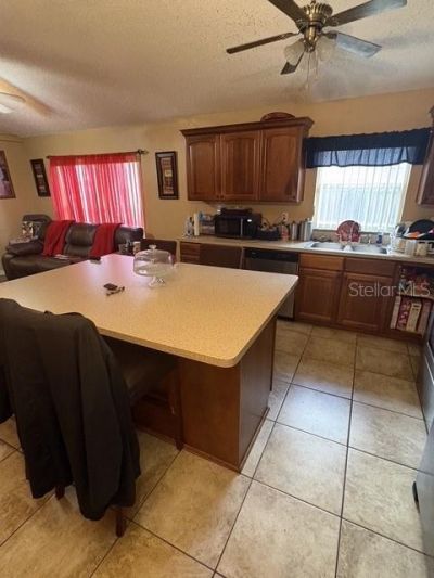 1165 Sheeler Hills Drive , Apopka, FL 32703 Photo