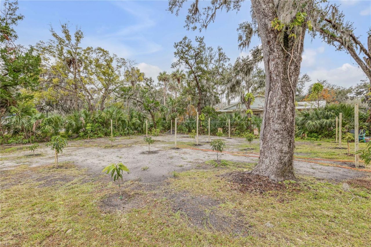 801 Canal Street, New Smyrna Beach, FL 32168 Photo
