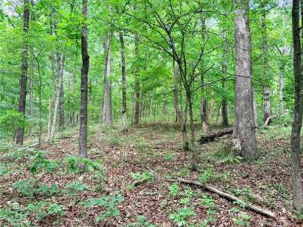 0 County Road 450 , Poplar Bluff, MO 63901