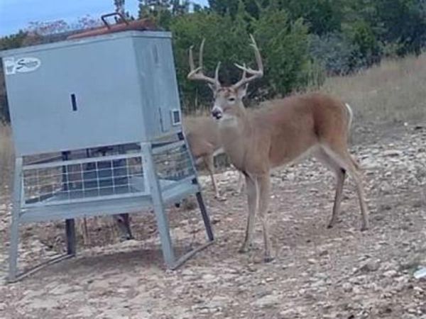 TBD 200 County Road 220 , No City, TX 79566