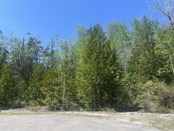 Lot 138 Tiptop Court W, Presque Isle, MI 49777