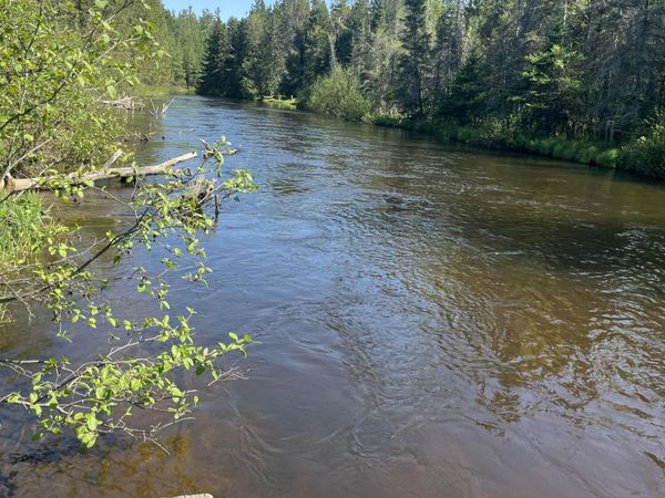 1655 Speckled Trout Trail, Grayling, MI 49738