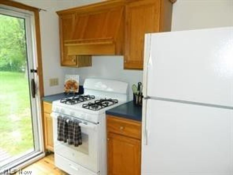 11754 Lakeland Drive, Newbury, OH 44065 Photo 6
