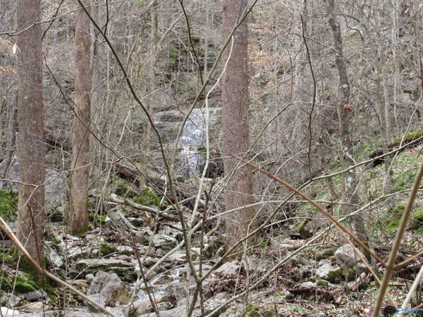 1958 County Road 32, Fackler, AL 35752