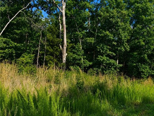 Alford Lane, Bella Vista, AR 72714