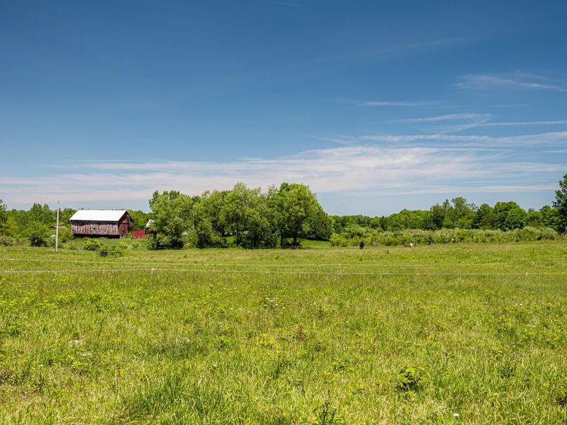 5683 County Road 59, Mount Gilead, OH 43338 Photo 9