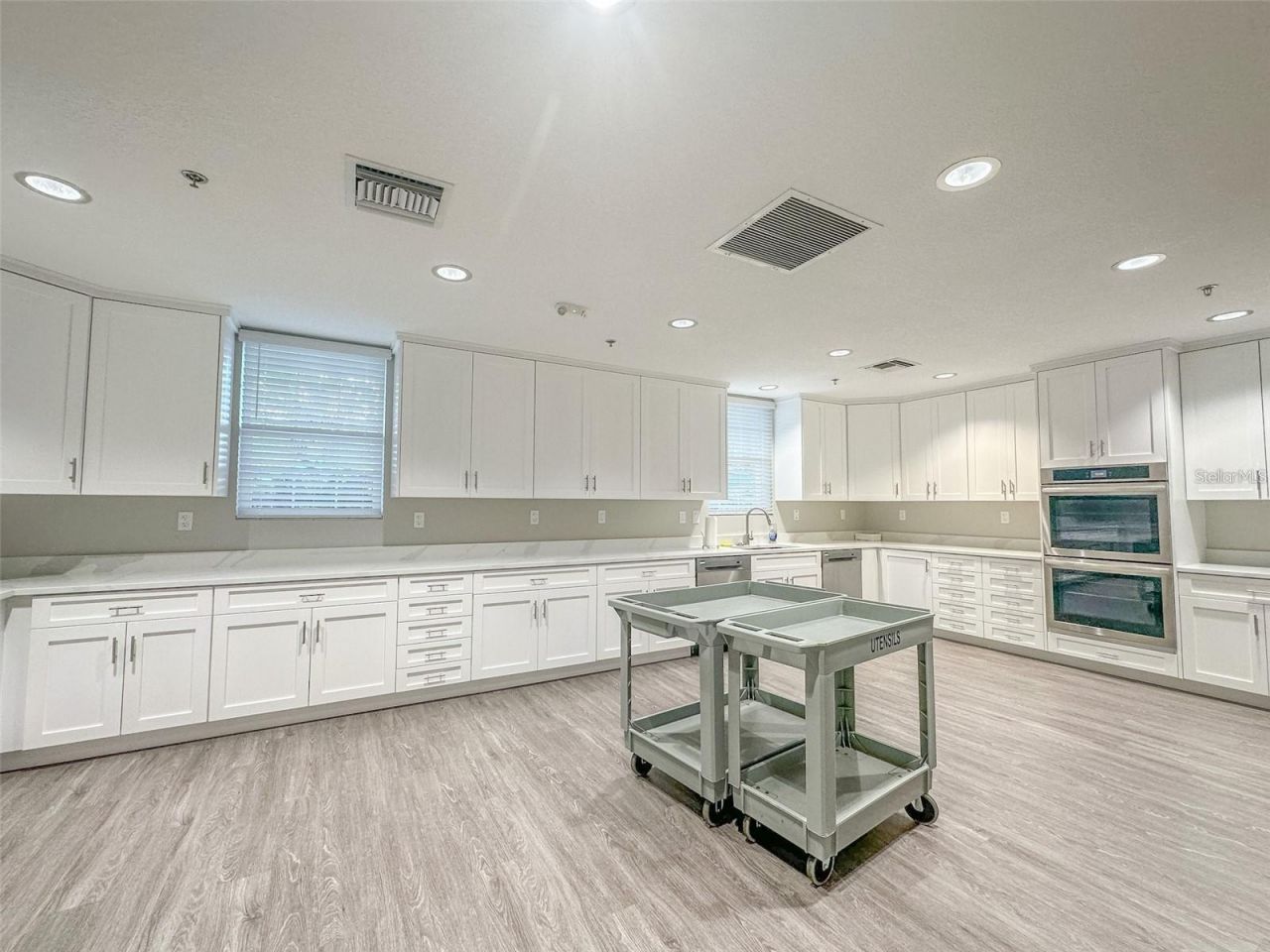 27429 Desert Rose Court , Leesburg, FL 34748 Photo