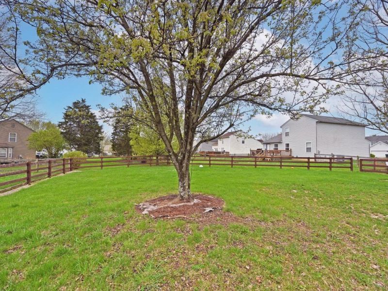 1559 Clearbrook Lane, Batavia Twp, OH 45102 Photo 5