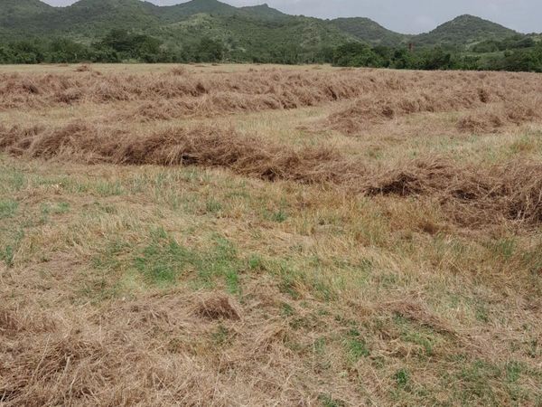 545 CARRETERA ESTATAL, Coamo, PR 00766