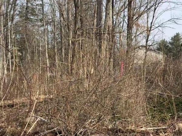 19 & 25 Clearbrook Drive , Mahopac, NY 10541