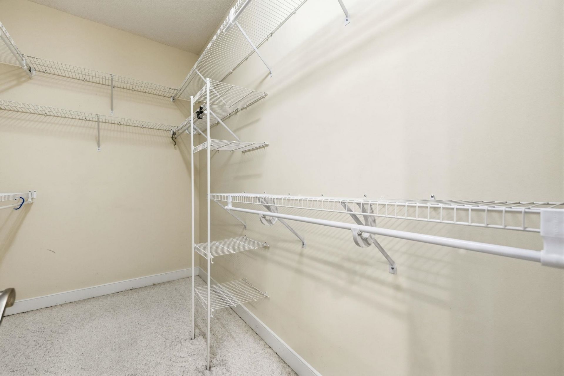 1056 Yellow Jasmine Dr.  Photo 31