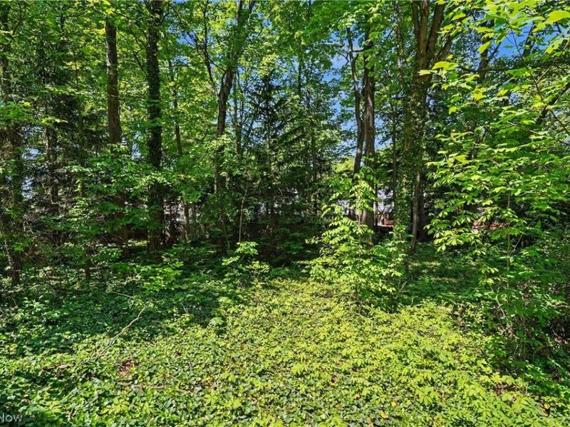 2920 Carters Grove Road, Cuyahoga Falls, OH 44223 Photo 10
