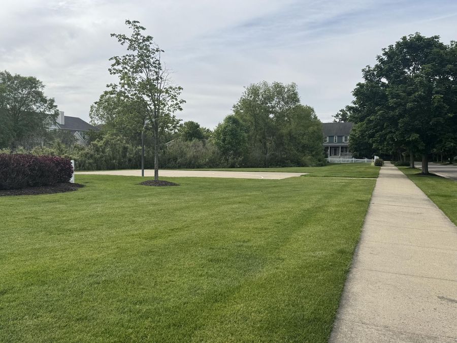 Property Image 46