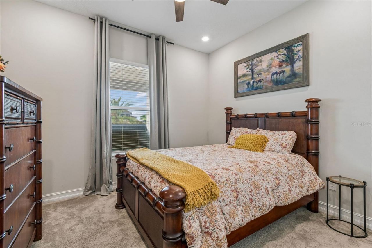 4127 Frontera Lane, Wesley Chapel, FL 33543 Photo