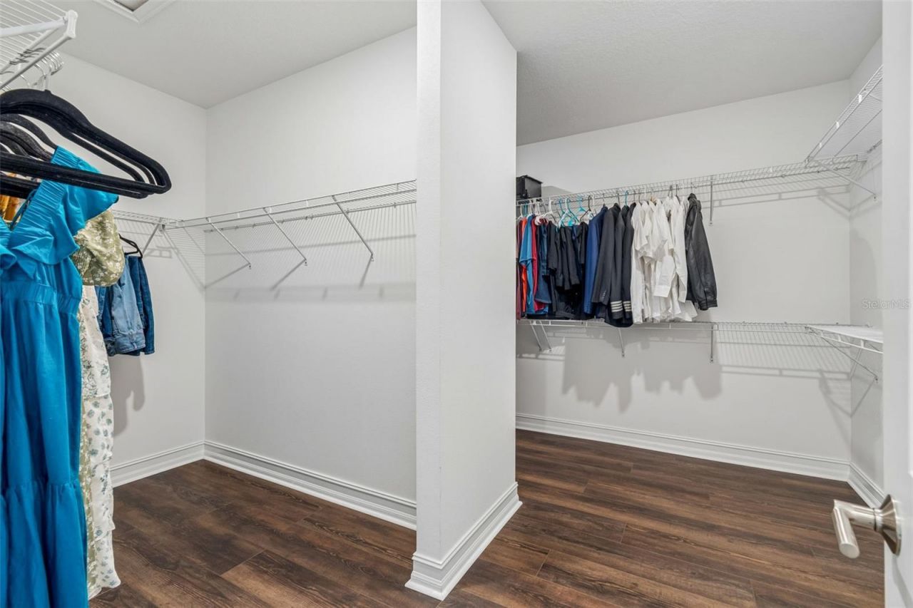 4127 Frontera Lane, Wesley Chapel, FL 33543 Photo