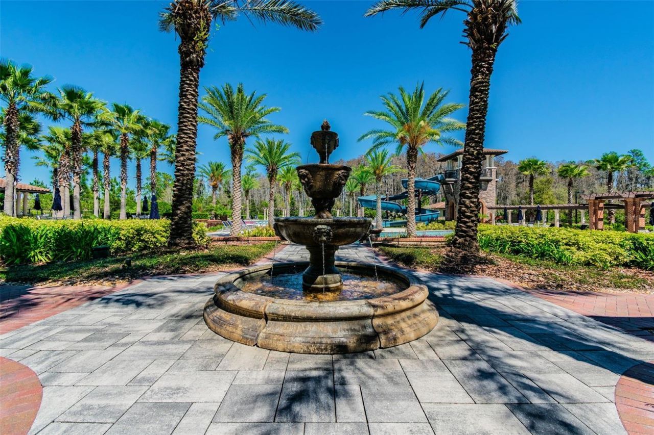 4127 Frontera Lane, Wesley Chapel, FL 33543 Photo