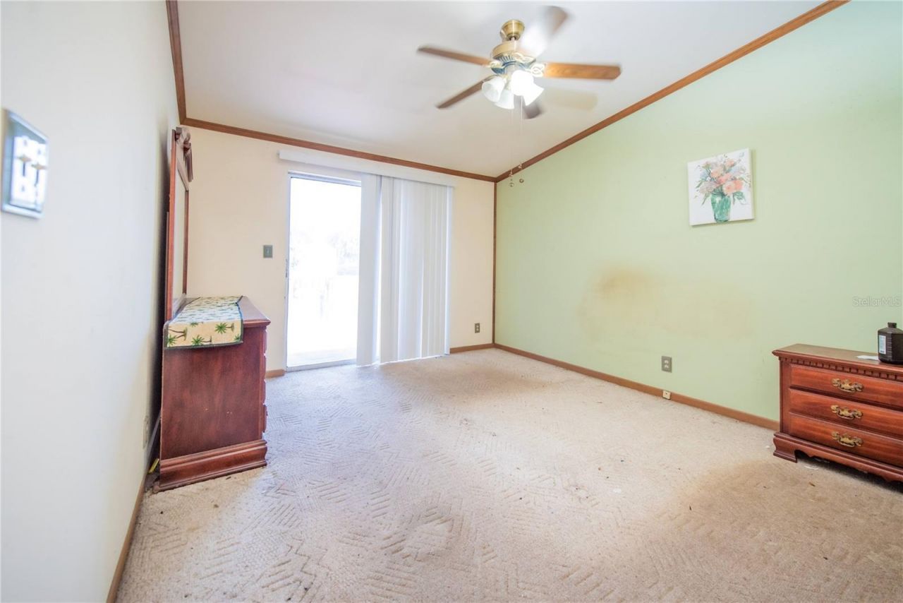 5015 Turkey Creek Road , Plant City, FL 33567 Photo