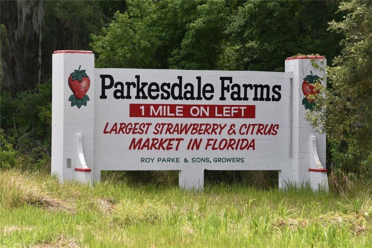 5015 Turkey Creek Road , Plant City, FL 33567 Photo