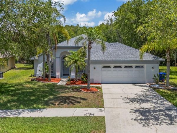 368 TAVERNIER CIRCLE, OLDSMAR, FL 34677