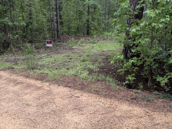 0 Highway 46, Cadwell, GA 31009