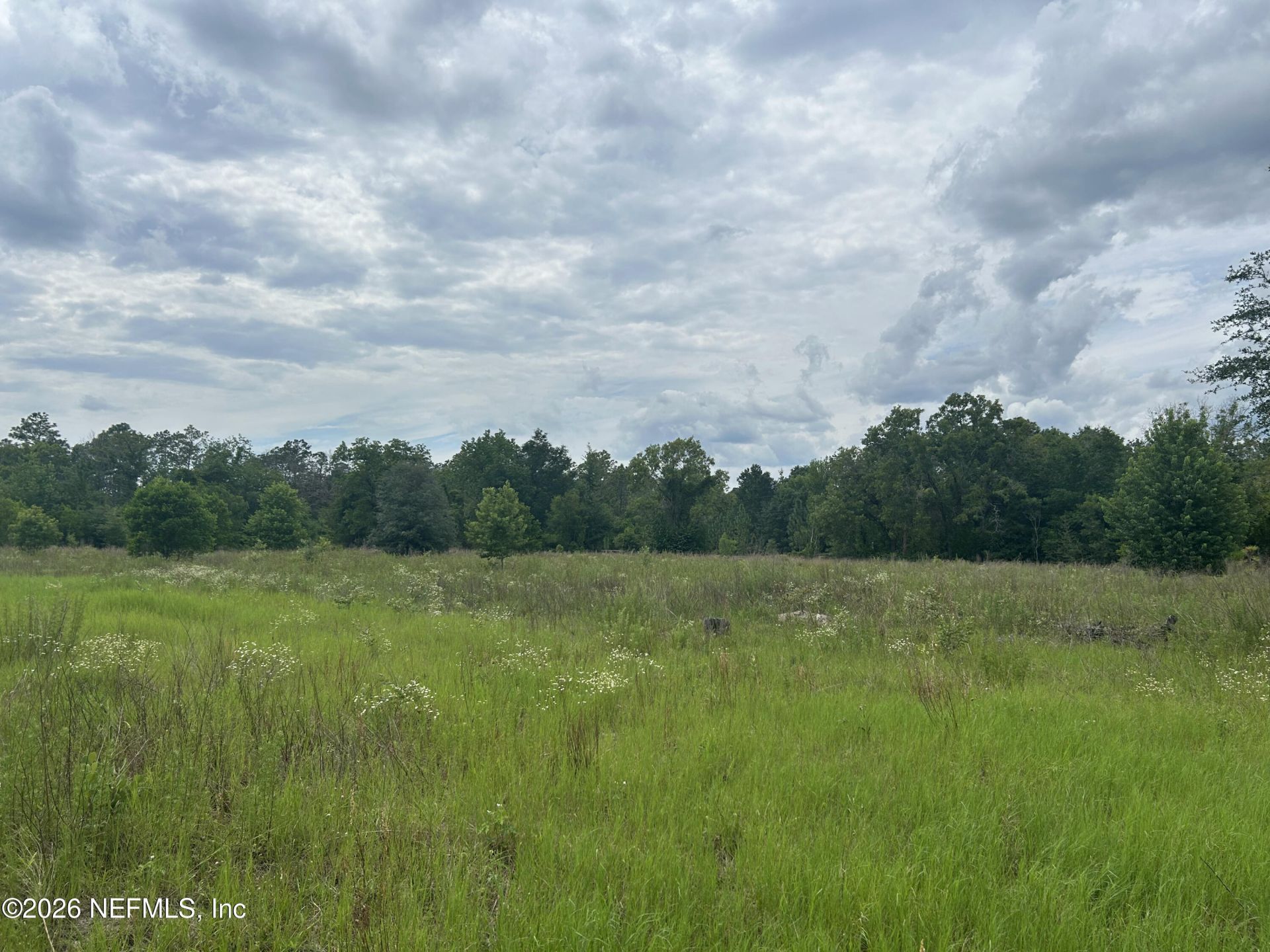 5078 Discovery Drive, Middleburg, FL 32068 Photo