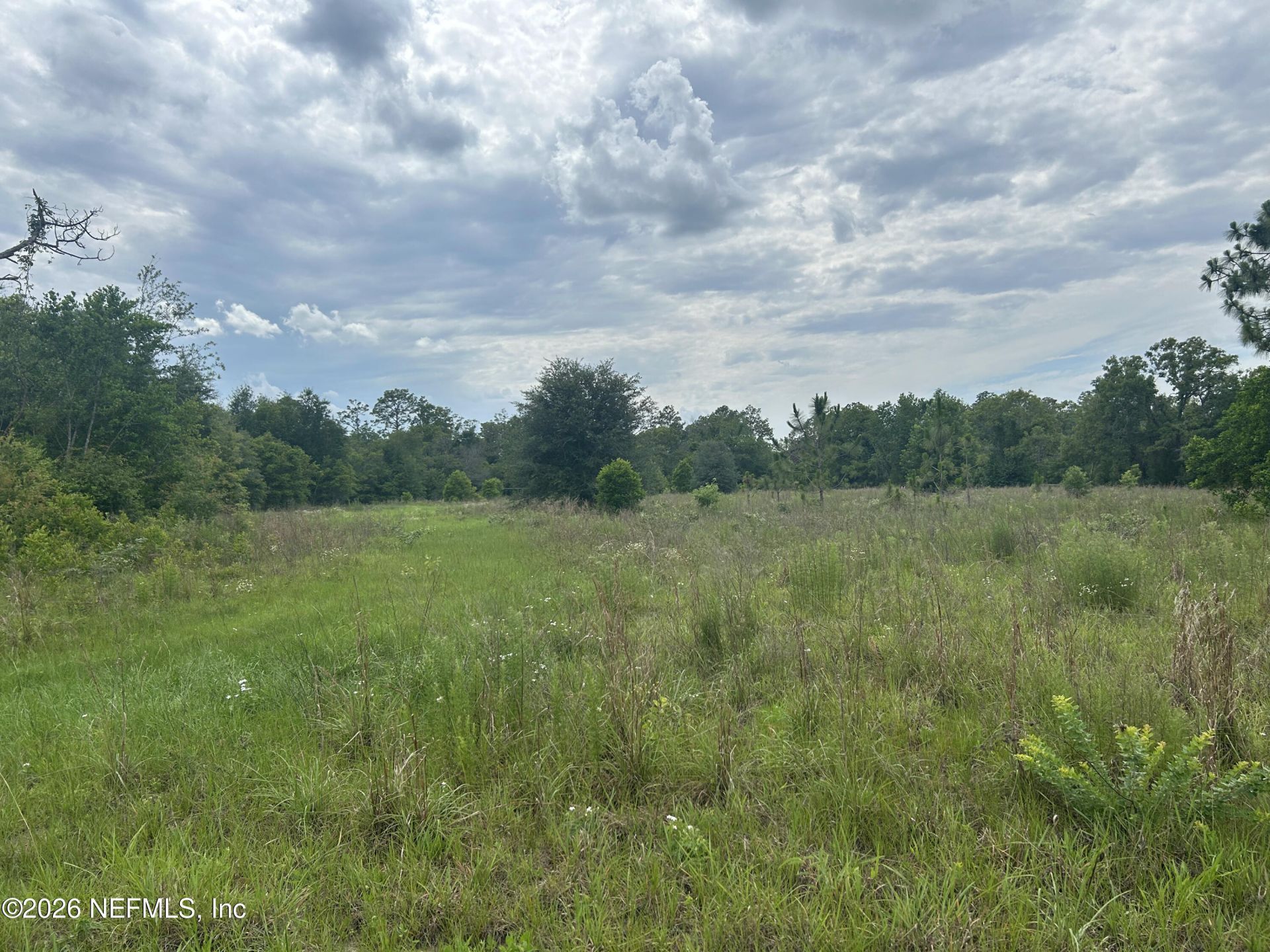 5078 Discovery Drive, Middleburg, FL 32068 Photo